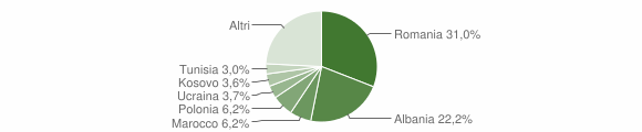 Grafico cittadinanza stranieri - Ortona 2015