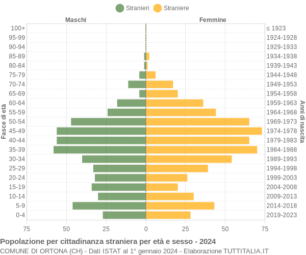 Grafico cittadini stranieri - Ortona 2024