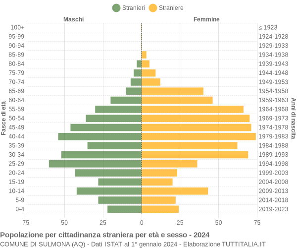 Grafico cittadini stranieri - Sulmona 2024