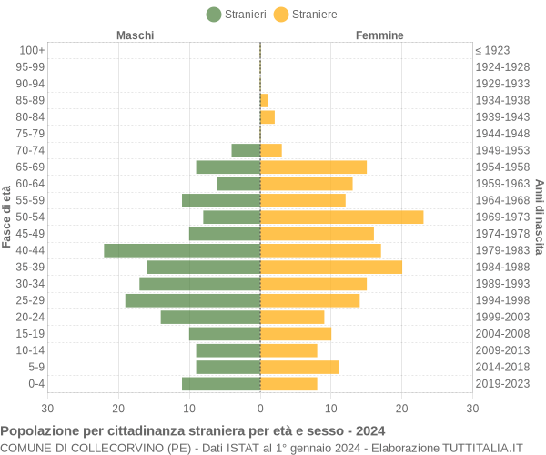 Grafico cittadini stranieri - Collecorvino 2024