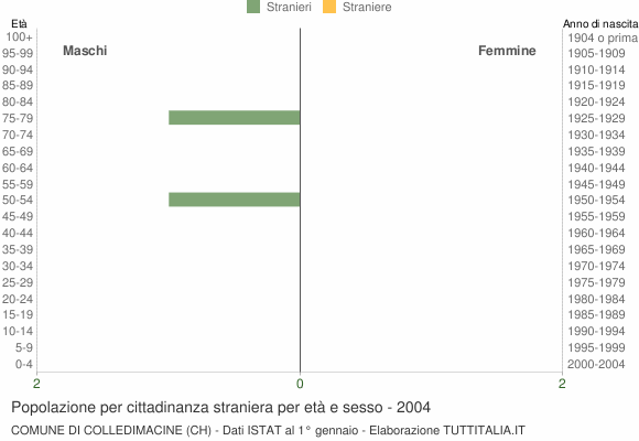 Grafico cittadini stranieri - Colledimacine 2004
