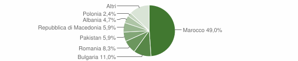 Grafico cittadinanza stranieri - Pescina 2011