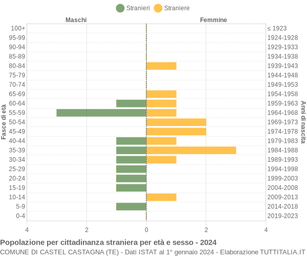 Grafico cittadini stranieri - Castel Castagna 2024