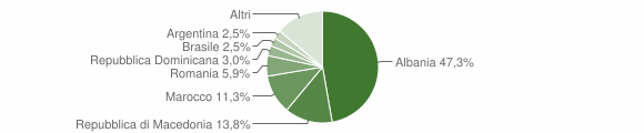Grafico cittadinanza stranieri - Casoli 2007