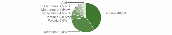 Grafico cittadinanza stranieri - Rapino 2010