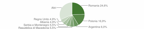 Grafico cittadinanza stranieri - Penne 2007