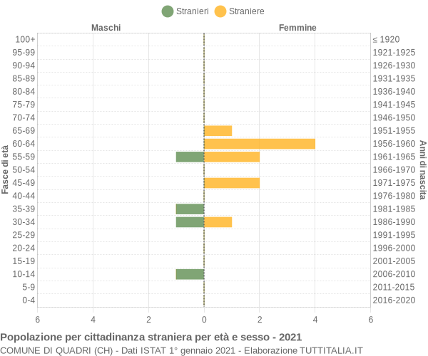 Grafico cittadini stranieri - Quadri 2021