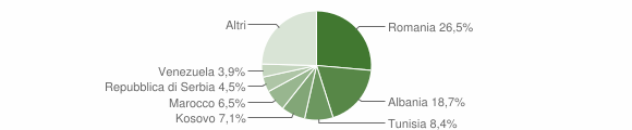 Grafico cittadinanza stranieri - Raiano 2011