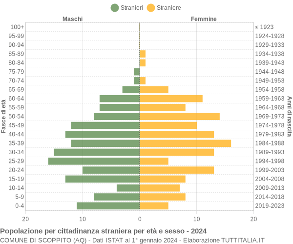 Grafico cittadini stranieri - Scoppito 2024