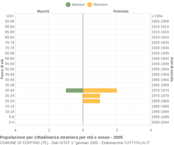 Grafico cittadini stranieri - Cortino 2005