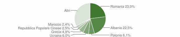 Grafico cittadinanza stranieri - Chieti 2011