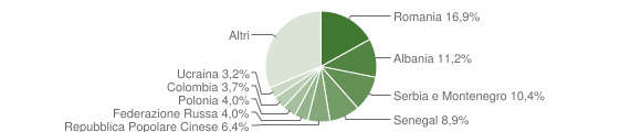 Grafico cittadinanza stranieri - Silvi 2006