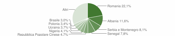 Grafico cittadinanza stranieri - Silvi 2008