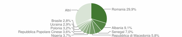 Grafico cittadinanza stranieri - Silvi 2010