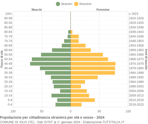 Grafico cittadini stranieri - Silvi 2024