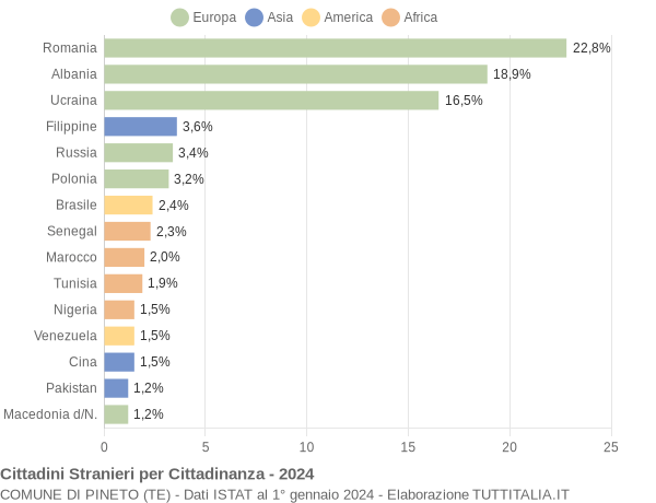 Grafico cittadinanza stranieri - Pineto 2024