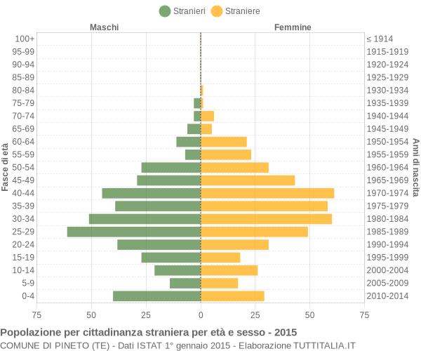 Grafico cittadini stranieri - Pineto 2015