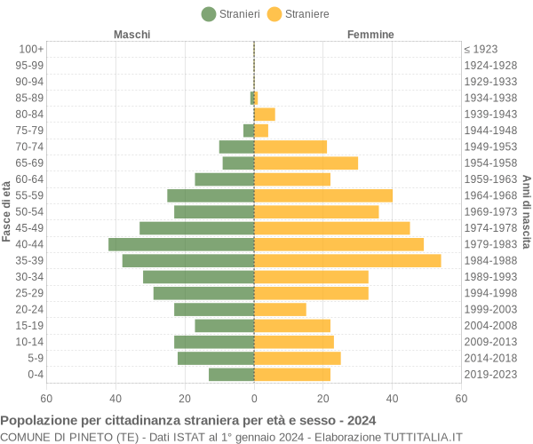 Grafico cittadini stranieri - Pineto 2024