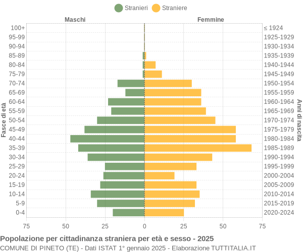 Grafico cittadini stranieri - Pineto 2025