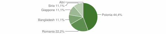 Grafico cittadinanza stranieri - Pietracamela 2009