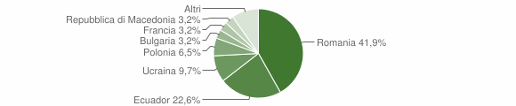 Grafico cittadinanza stranieri - Alfedena 2010