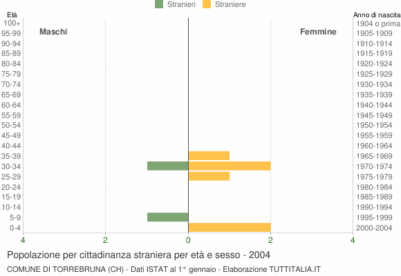 Grafico cittadini stranieri - Torrebruna 2004