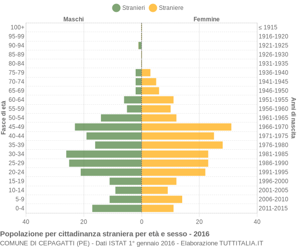 Grafico cittadini stranieri - Cepagatti 2016