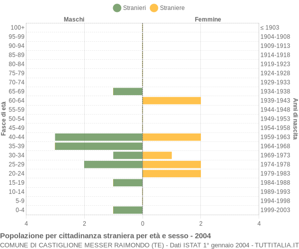 Grafico cittadini stranieri - Castiglione Messer Raimondo 2004