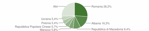 Grafico cittadinanza stranieri - Teramo 2009