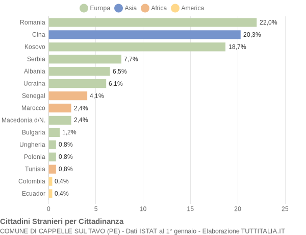 Grafico cittadinanza stranieri - Cappelle sul Tavo 2010