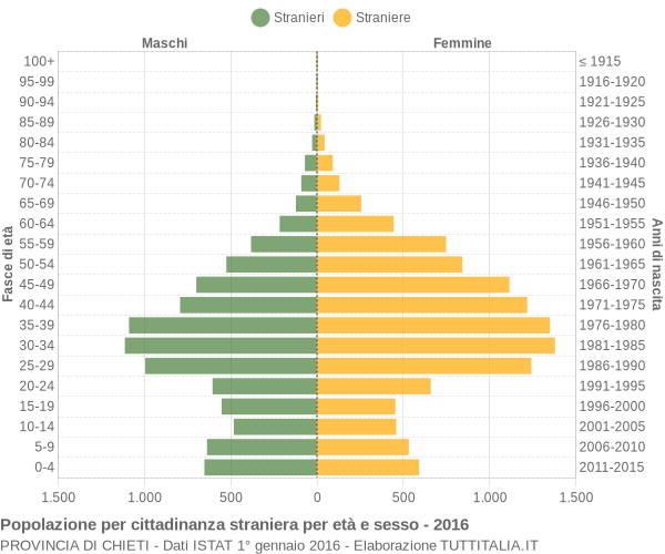 Grafico cittadini stranieri - 2016