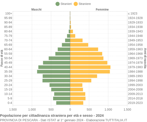 Grafico cittadini stranieri - 2024