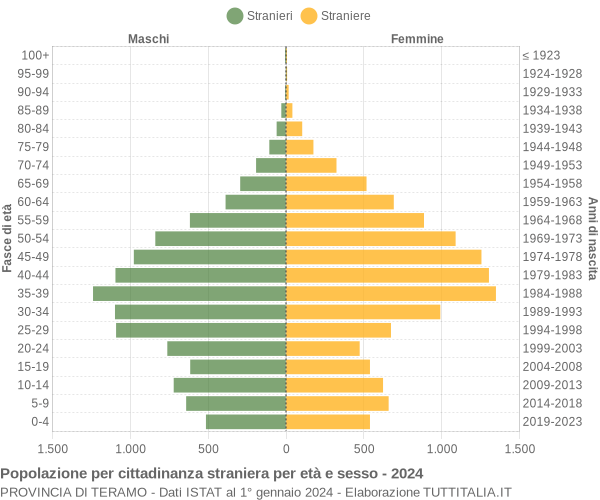 Grafico cittadini stranieri - 2024