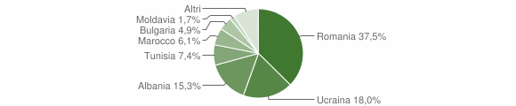 Grafico cittadinanza stranieri - Melfi 2010