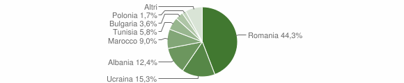 Grafico cittadinanza stranieri - Melfi 2014