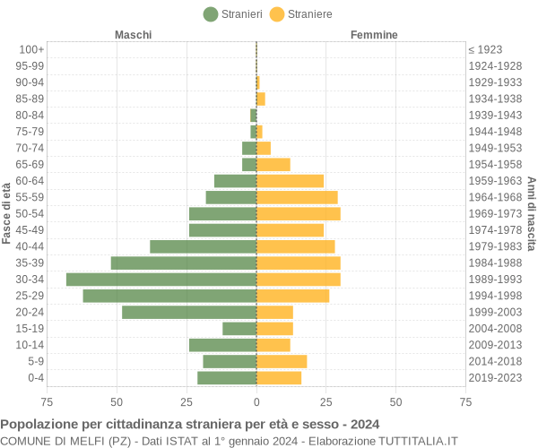 Grafico cittadini stranieri - Melfi 2024