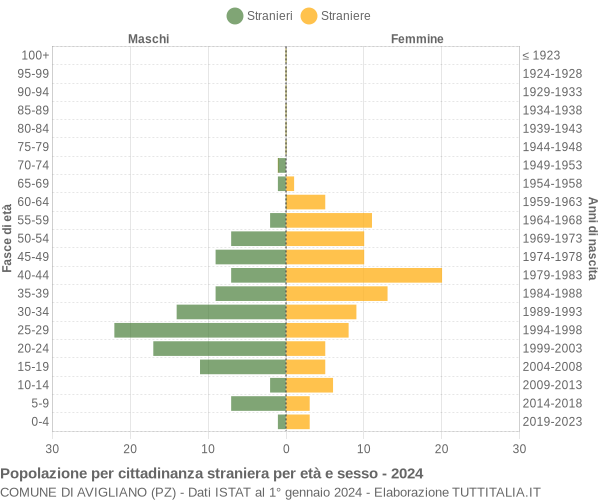 Grafico cittadini stranieri - Avigliano 2024