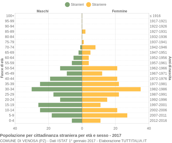 Grafico cittadini stranieri - Venosa 2017