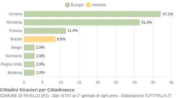 Grafico cittadinanza stranieri - Rivello 2008