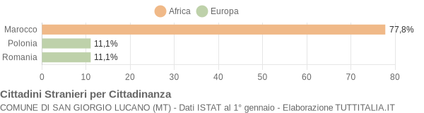 Grafico cittadinanza stranieri - San Giorgio Lucano 2005