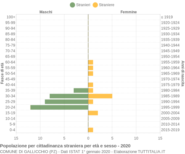 Grafico cittadini stranieri - Gallicchio 2020