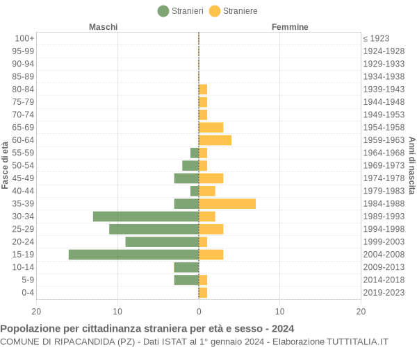 Grafico cittadini stranieri - Ripacandida 2024