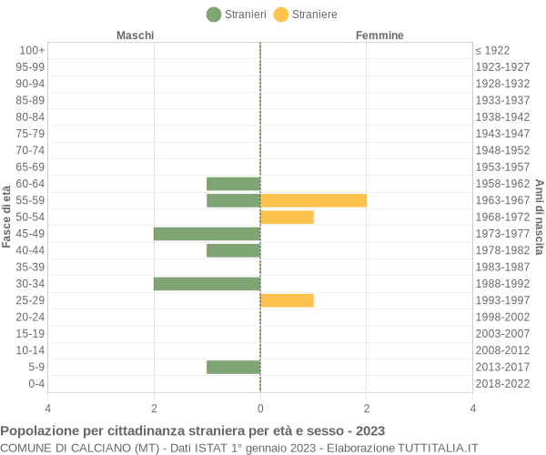 Grafico cittadini stranieri - Calciano 2023