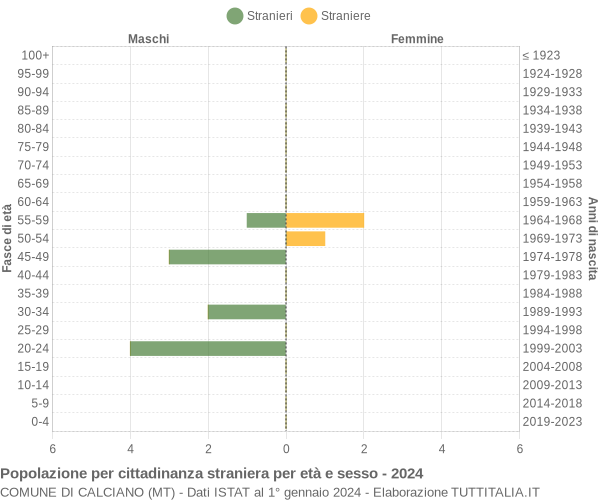 Grafico cittadini stranieri - Calciano 2024