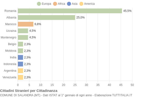 Grafico cittadinanza stranieri - Salandra 2013