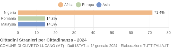 Grafico cittadinanza stranieri - Oliveto Lucano 2024