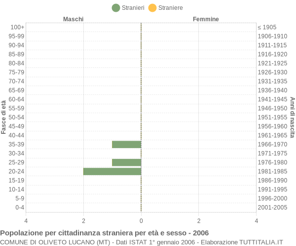 Grafico cittadini stranieri - Oliveto Lucano 2006