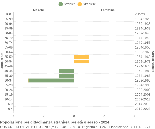 Grafico cittadini stranieri - Oliveto Lucano 2024