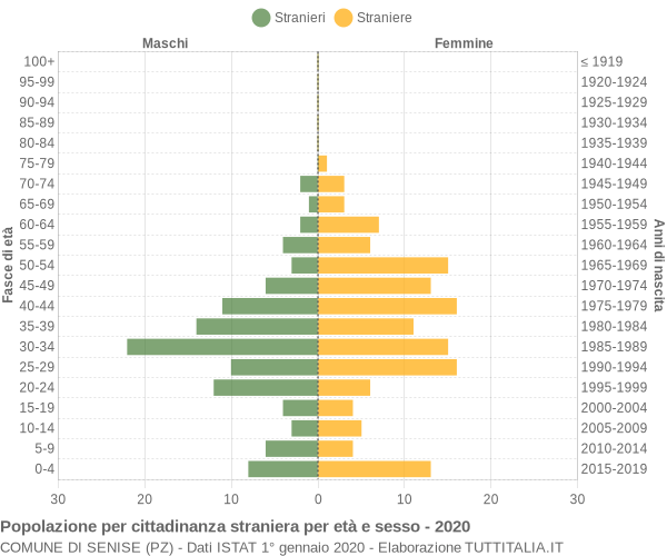 Grafico cittadini stranieri - Senise 2020