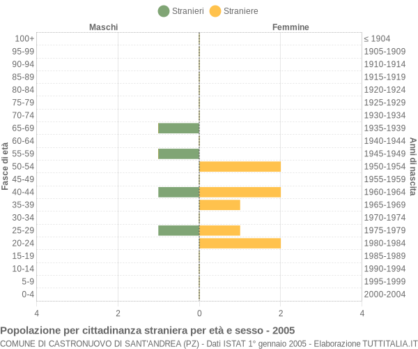 Grafico cittadini stranieri - Castronuovo di Sant'Andrea 2005